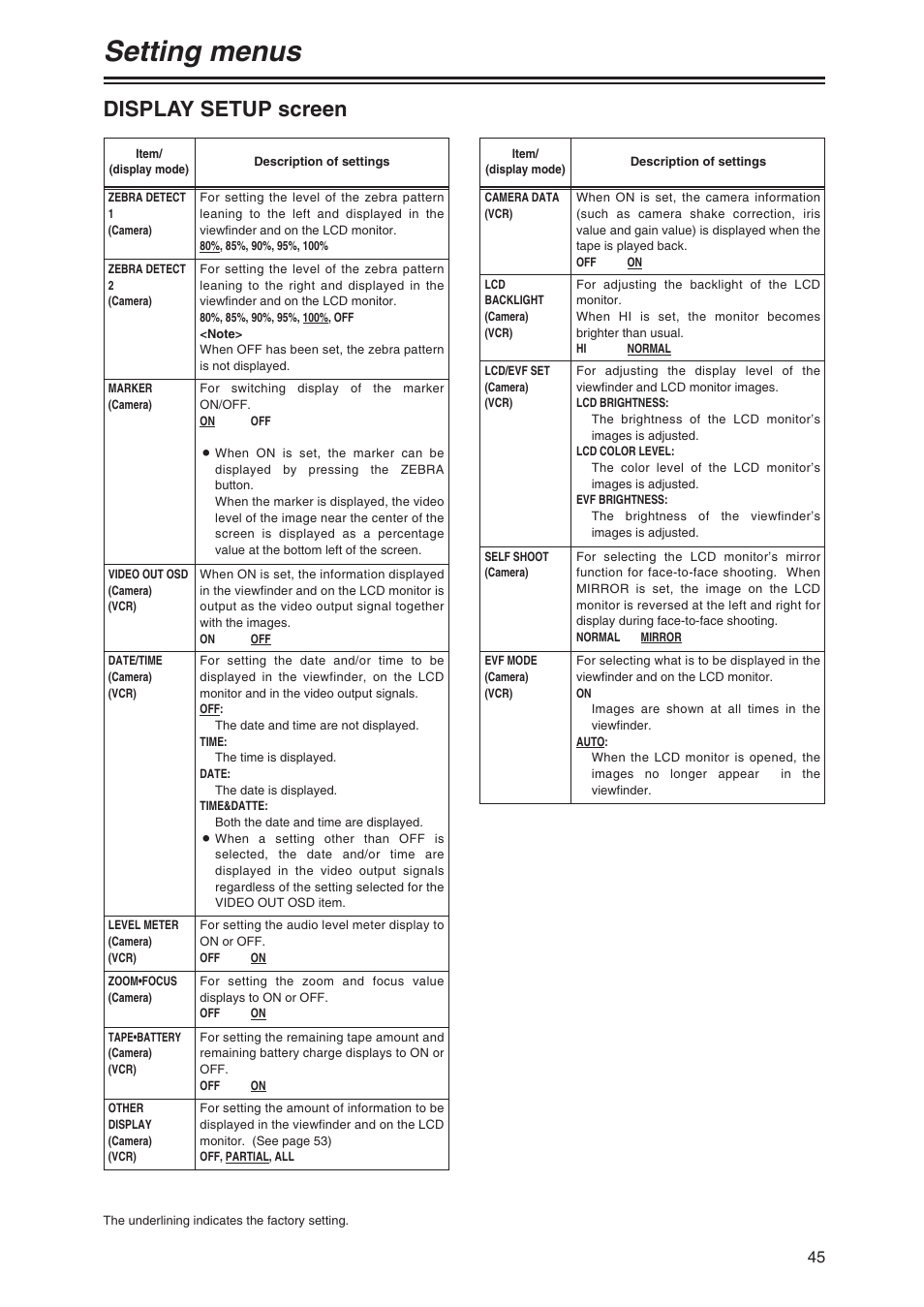 Setting menus, Display setup screen | Panasonic AG-DVX100P User Manual | Page 45 / 68