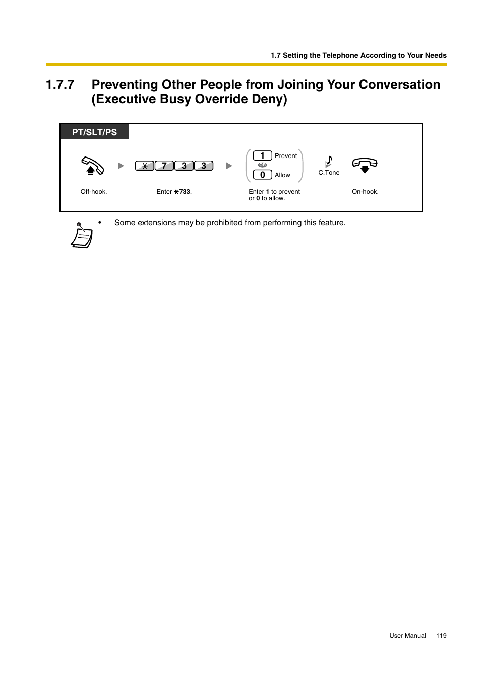 Pt/slt/ps | Panasonic HYBRID IP-PBX KX-TDA30 User Manual | Page 119 / 232