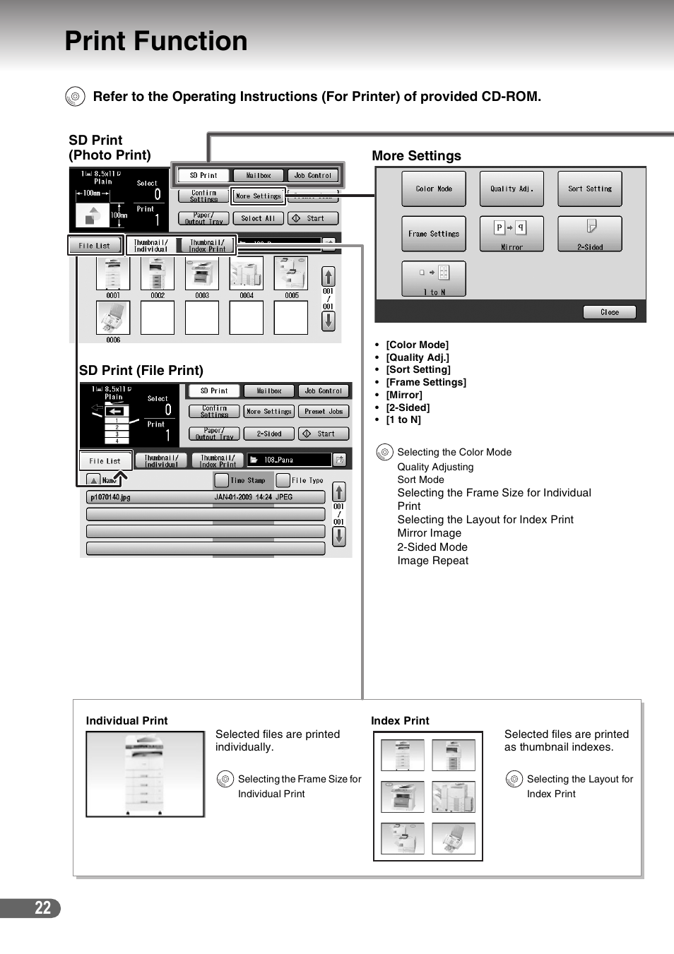 Print function, Ages 22 t | Panasonic DP-C266 User Manual | Page 22 / 40
