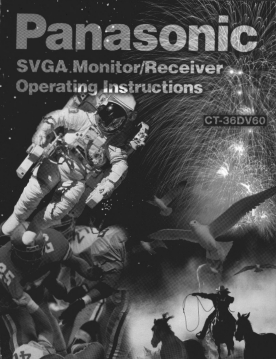 Panasonic SVGA Monitor/Receiver CT-36DV60 User Manual | 53 pages