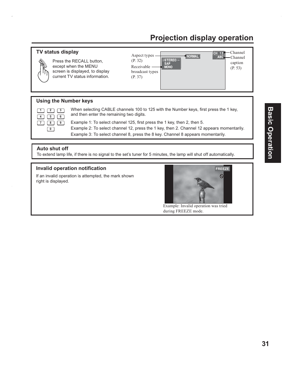 Status display, Projection display operation, 31 basic operation | Panasonic PT-60LC14 User Manual | Page 31 / 95