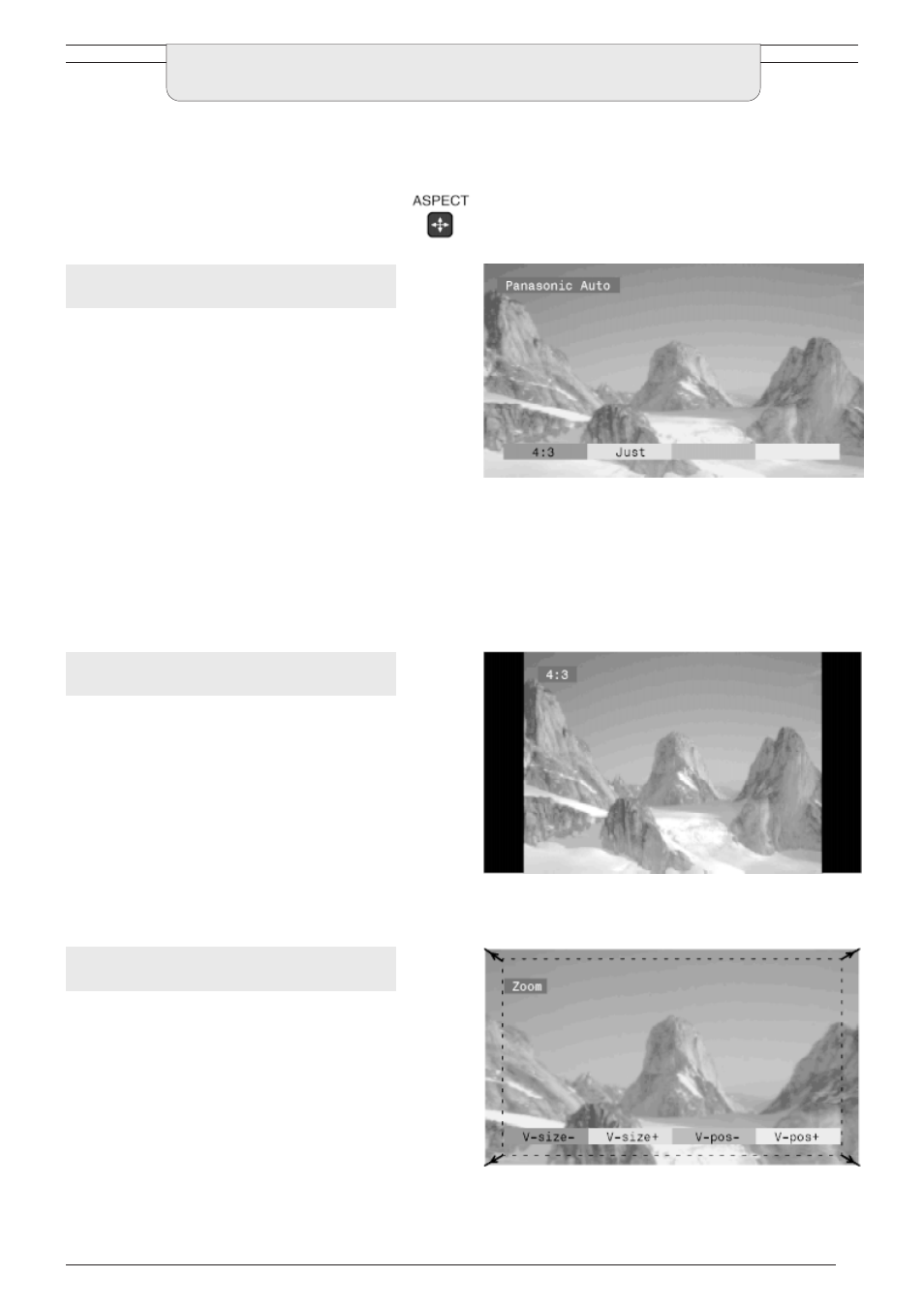 Aspect controls | Panasonic TU-PTA100E User Manual | Page 9 / 32