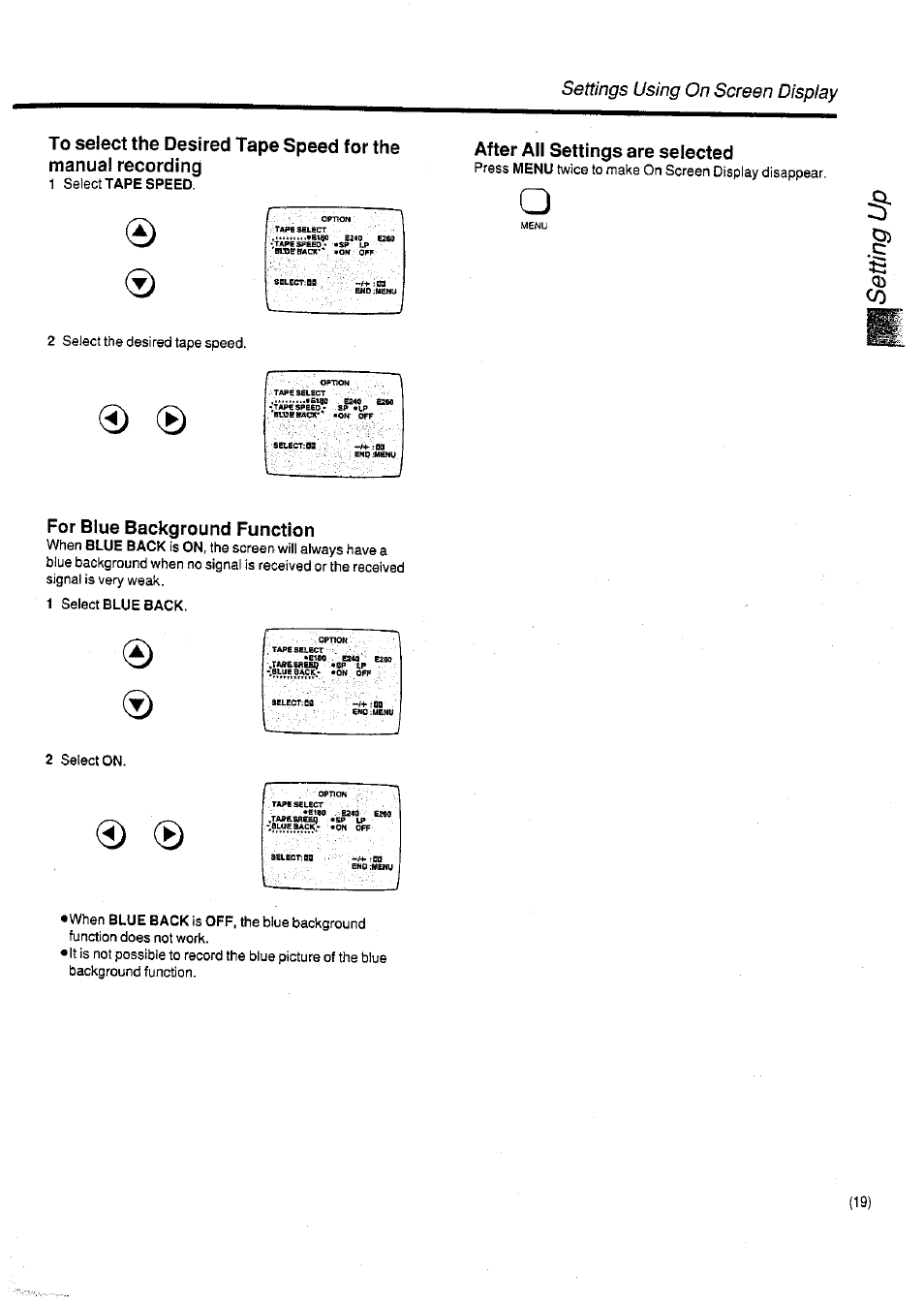 After all settings are selected, For blue background function | Panasonic NV-SD400 User Manual | Page 19 / 32