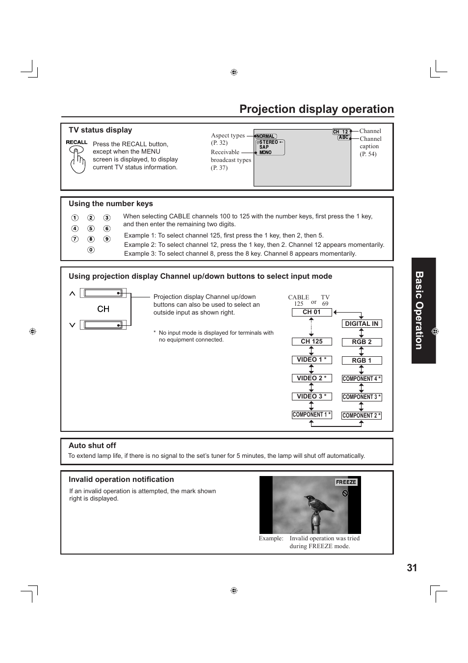 Projection display operation, 31 basic operation | Panasonic PT-60LC13 User Manual | Page 31 / 80