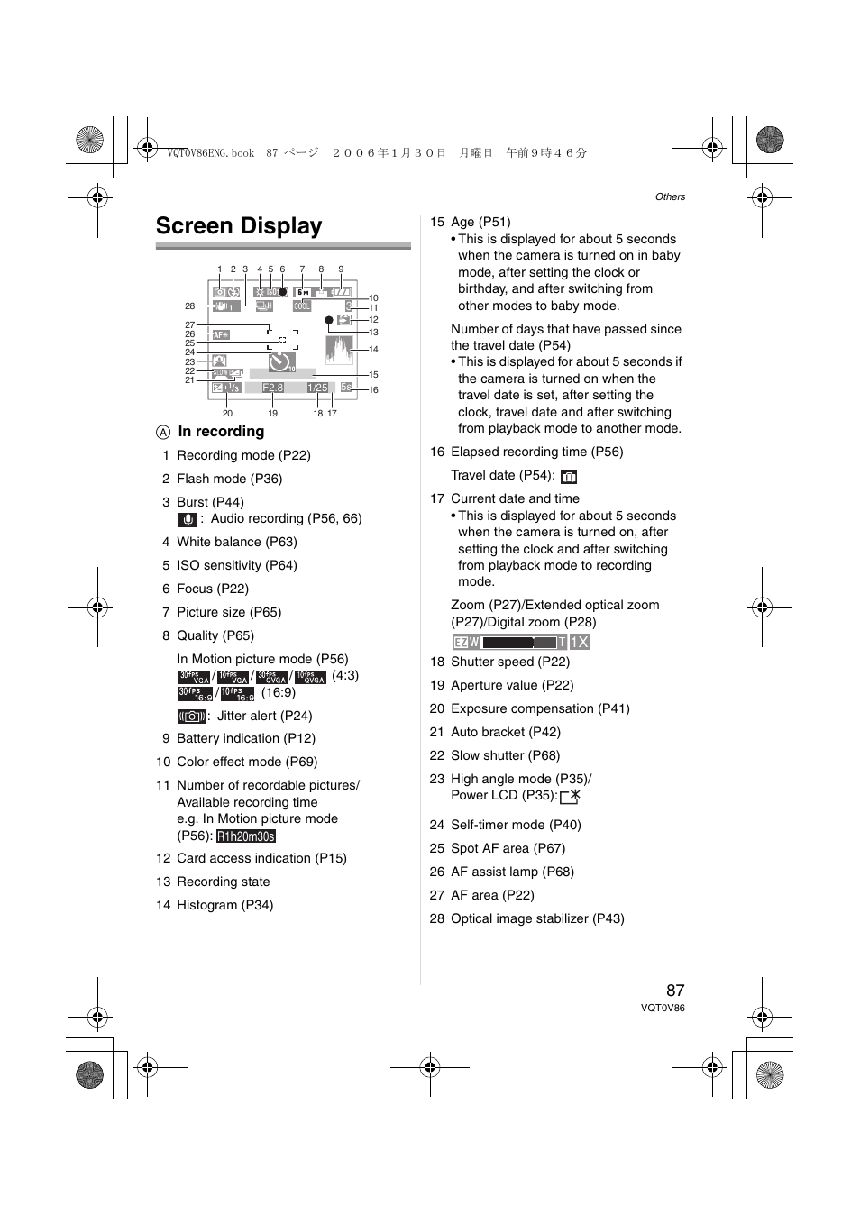 Others, Screen display | Panasonic DMC-FX01 User Manual | Page 87 / 116