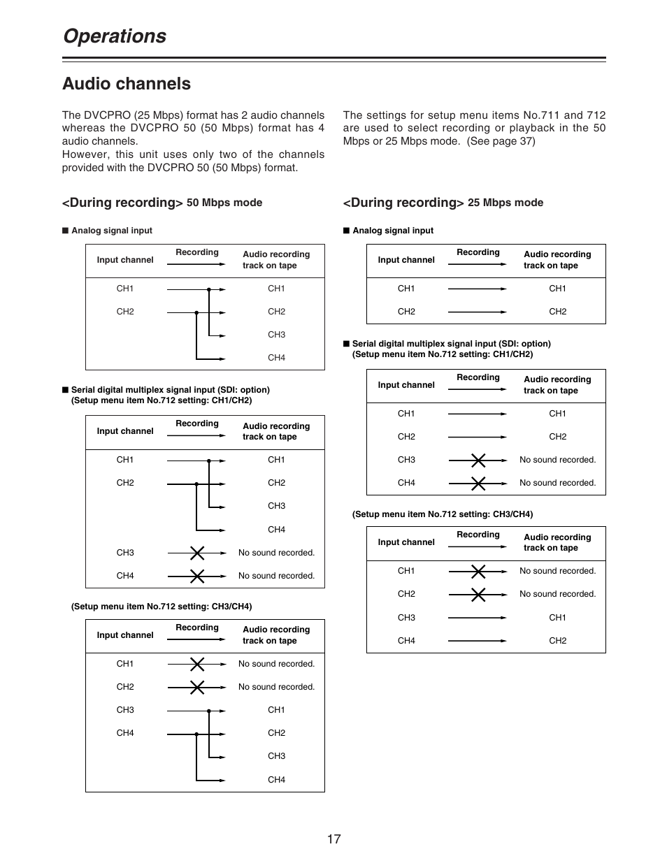 Operations, Audio channels, During recording | Panasonic AJ- DCP User Manual | Page 17 / 44