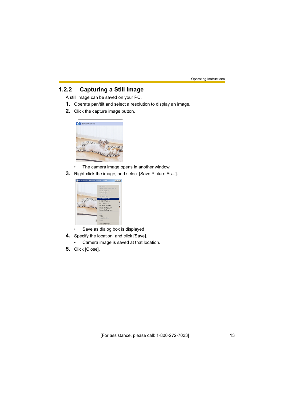 2 capturing a still image | Panasonic BL-C10A User Manual | Page 13 / 104