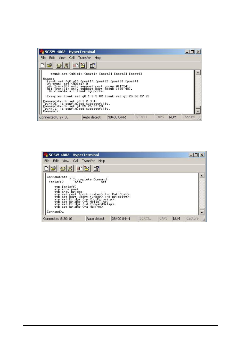 Planet Technology SGSW-4802 User Manual | Page 68 / 80