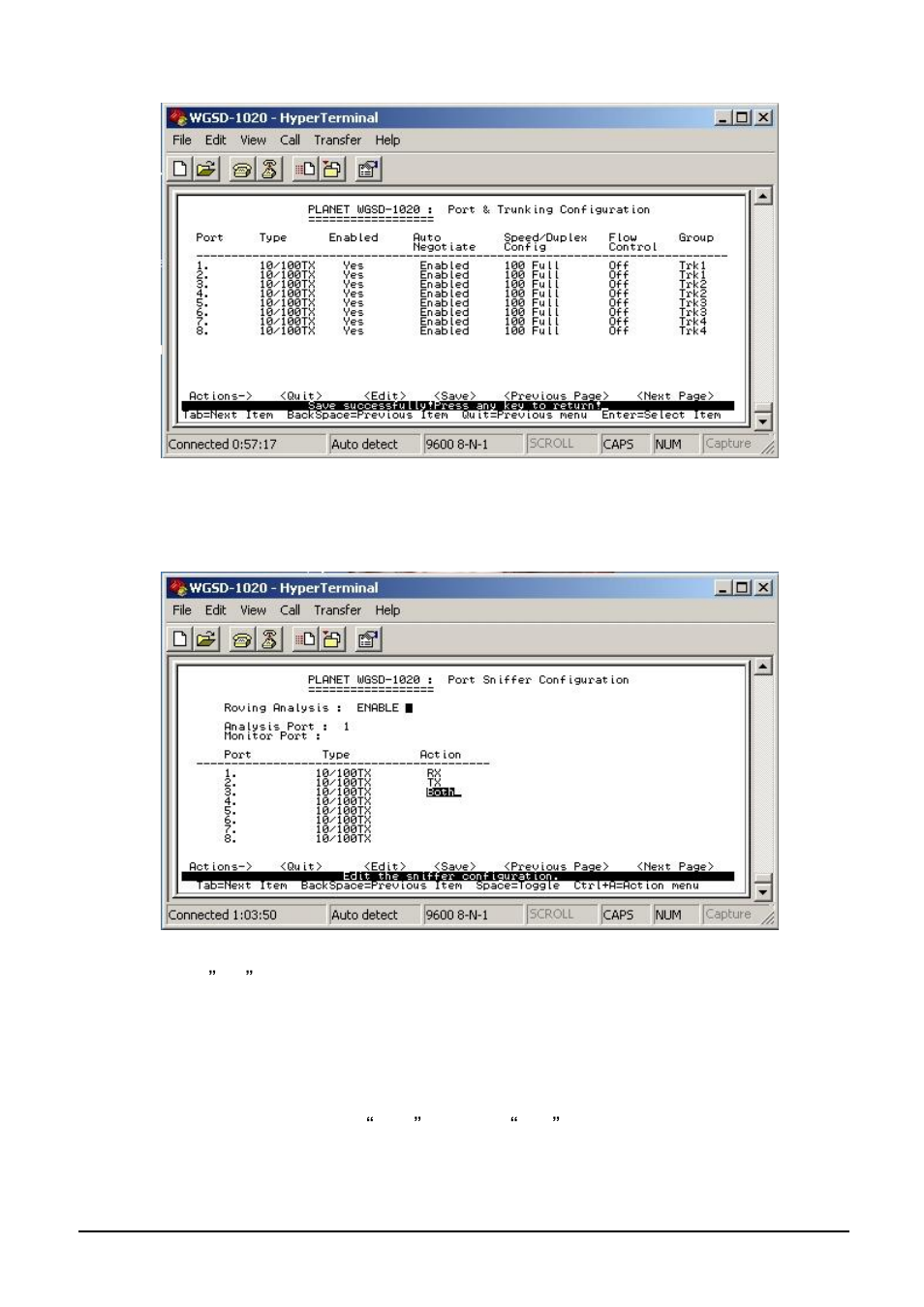 3 port sniffer configuration | Planet Technology WGSD-1020 User Manual | Page 23 / 93