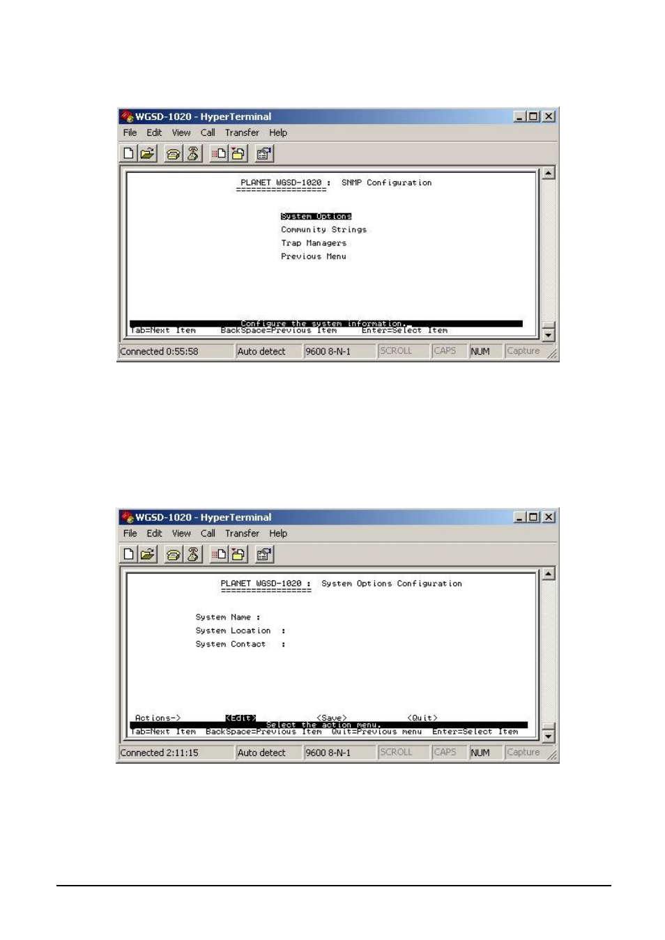 2 snmp, 1 system options | Planet Technology WGSD-1020 User Manual | Page 41 / 93