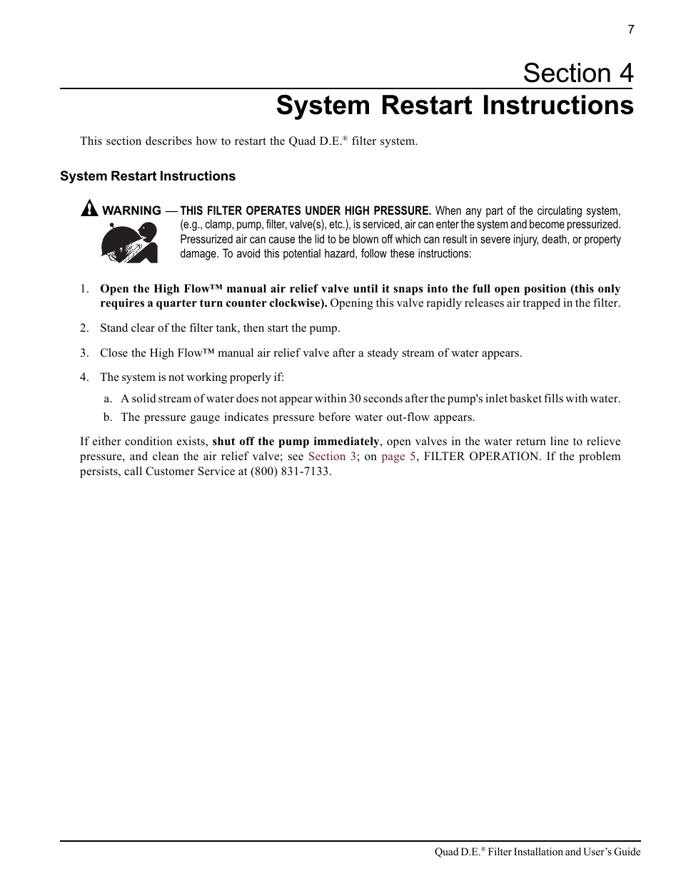 Pentair D.E. Cartridge Style Filter Quad D.E. User Manual | Page 13 / 24