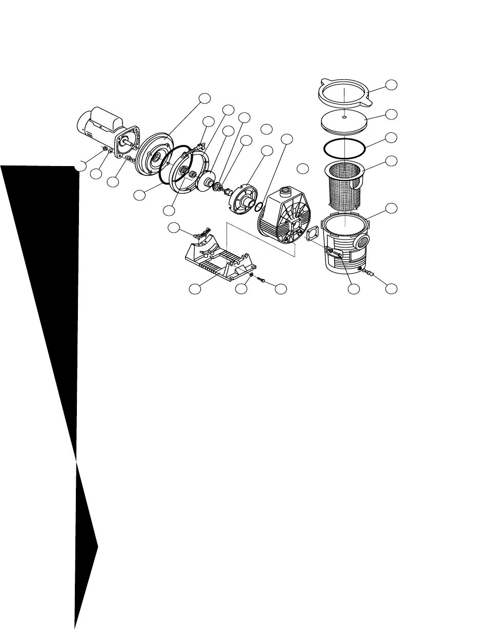 Pentair Ultra-Flow FlowTM Pump User Manual | Page 12 / 20