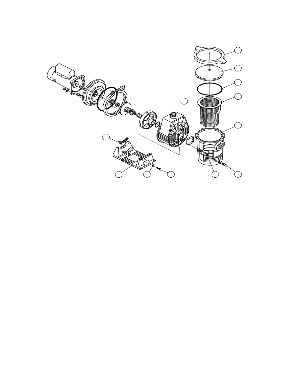 Pentair Ultra-Flow FlowTM Pump User Manual | Page 19 / 20