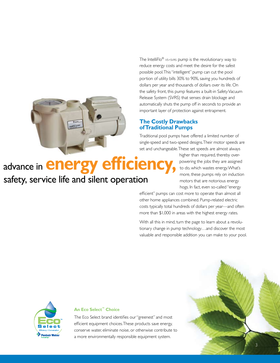 Energy efficiency, A monumental advance in, Safety, service life and silent operation | Pentair IntelliFlo VS+SVRS User Manual | Page 3 / 8