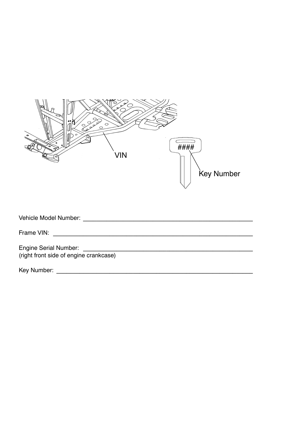 Introduction, Vehicle identification numbers | Polaris Trail Boss 9921784 User Manual | Page 9 / 120