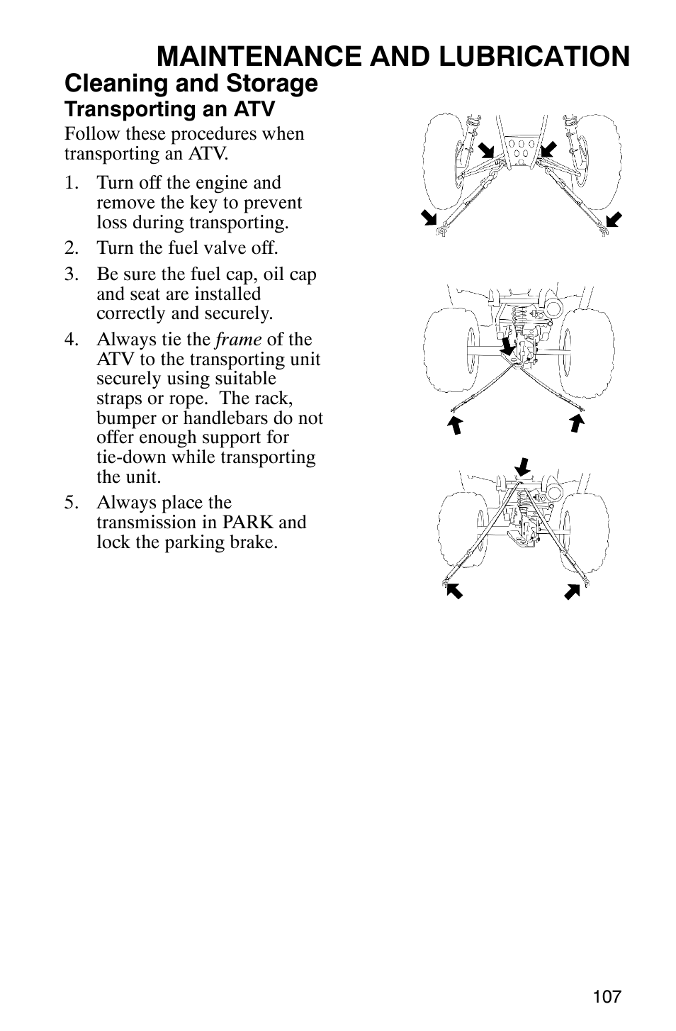 Maintenance and lubrication, Cleaning and storage | Polaris Magnum 330 2x4 User Manual | Page 110 / 126