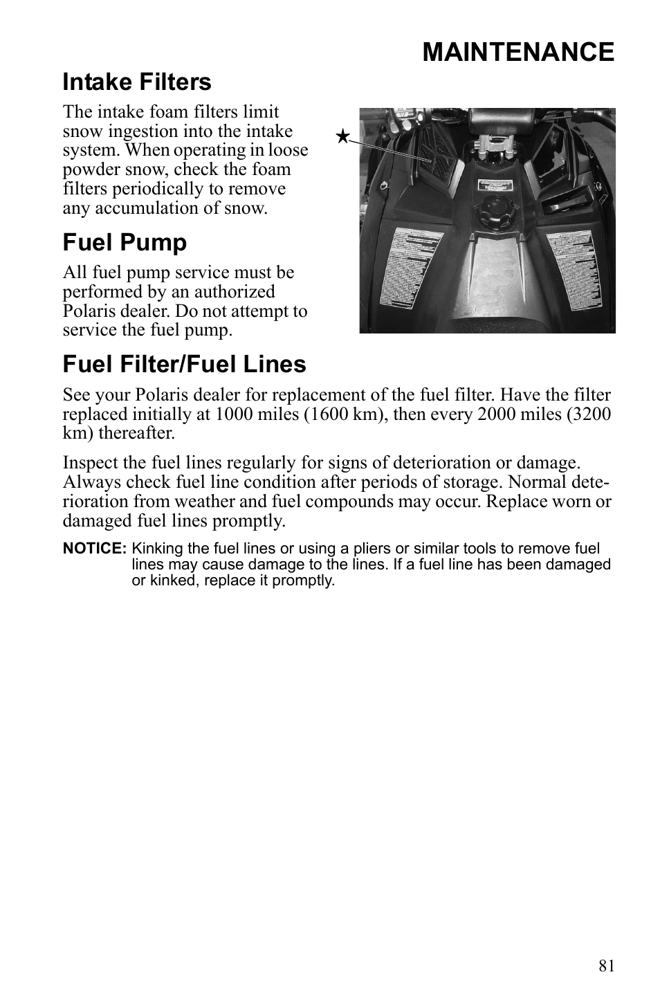 Maintenance, Intake filters, Fuel pump | Fuel filter/fuel lines | Polaris 600 RUSH User Manual | Page 85 / 134