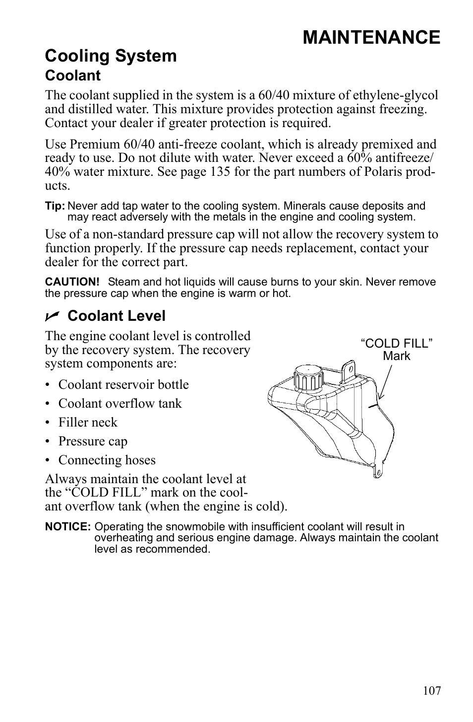 Maintenance, Cooling system, Coolant | Ncoolant level | Polaris IQ Turbo Dragon User Manual | Page 110 / 159