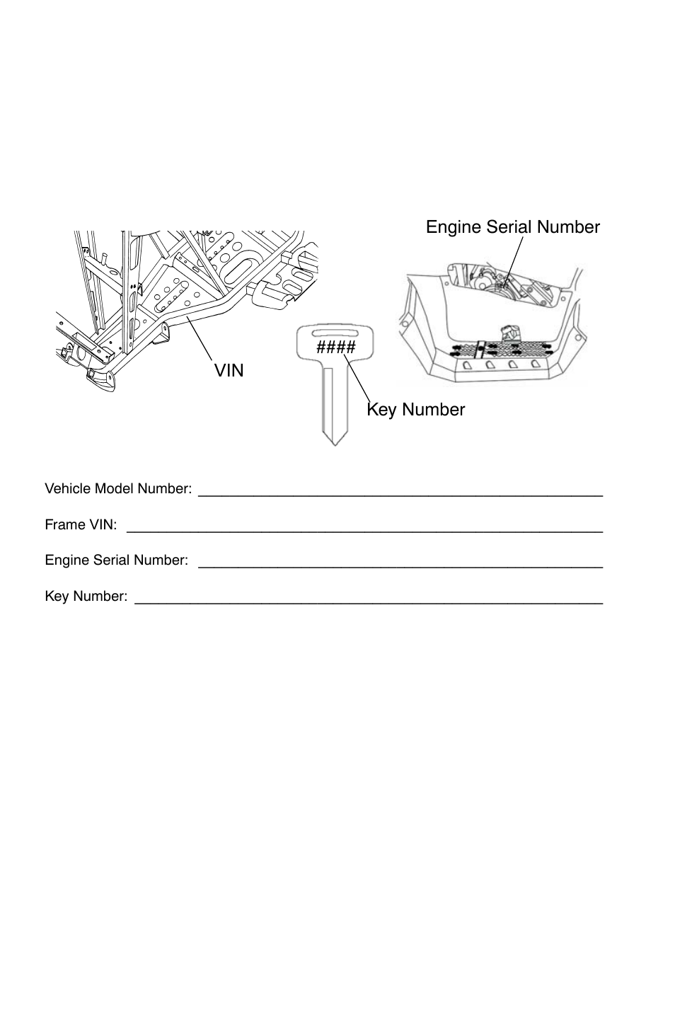 Introduction, Vehicle identification numbers | Polaris Sportsman 9921828 User Manual | Page 9 / 136
