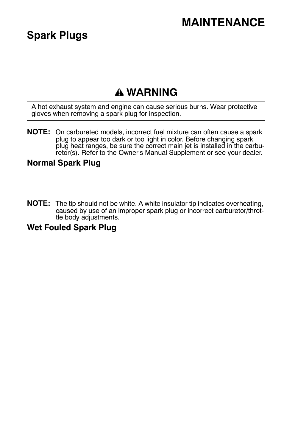 Maintenance, Spark plugs, Warning | Polaris 700 Dragon RMK User Manual | Page 82 / 135