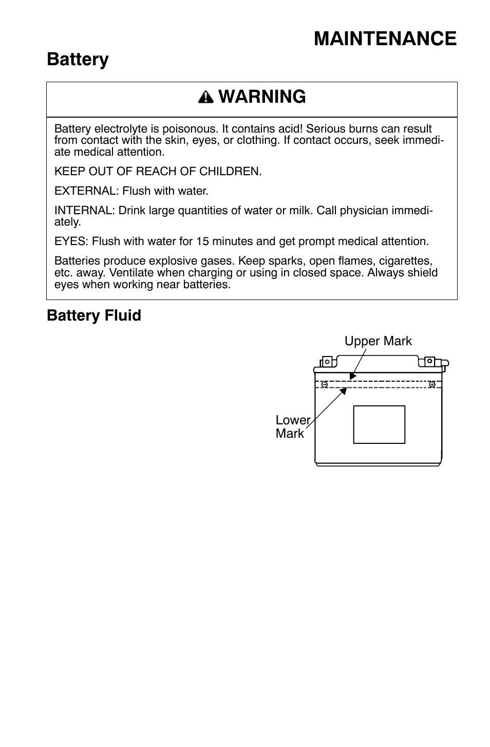 Maintenance, Battery, Warning | Battery fluid | Polaris Widetrak LX User Manual | Page 100 / 130