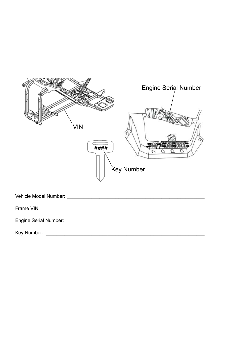 Introduction, Vehicle identification numbers | Polaris Sportsman 9921822 User Manual | Page 9 / 126