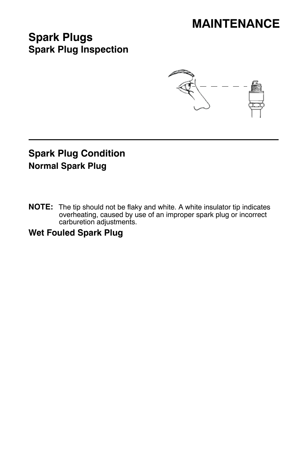 Maintenance, Spark plugs | Polaris Sportsman 9921335 User Manual | Page 97 / 133