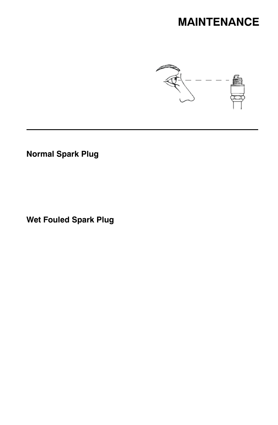 Maintenance, Spark plugs | Polaris Sportsman 9921818 User Manual | Page 90 / 126