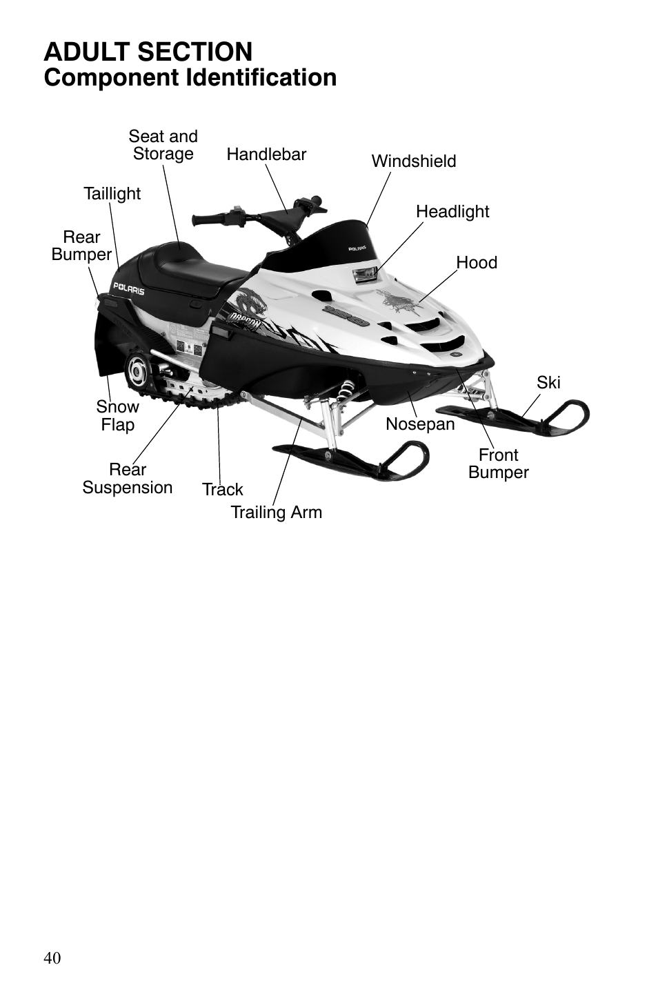 Component identification | Polaris 120 Dragon User Manual | Page 44 / 101