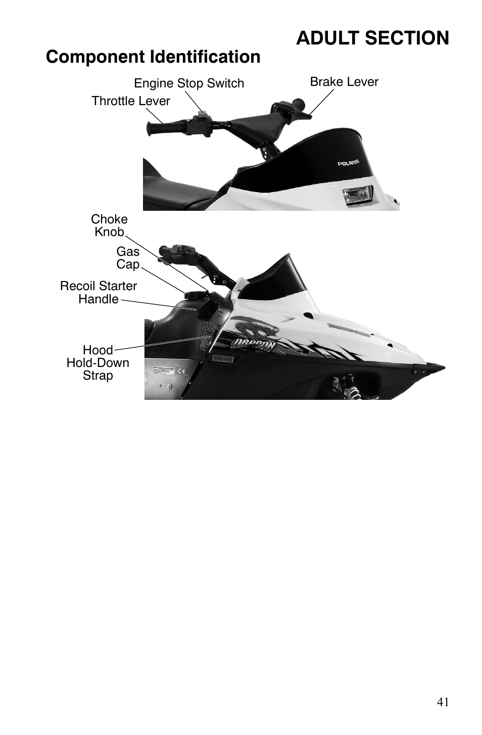 Component identification | Polaris 120 Dragon User Manual | Page 45 / 101