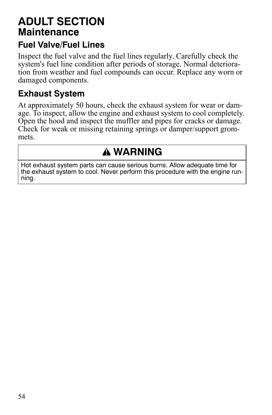 Maintenance, Warning | Polaris 120 Dragon User Manual | Page 58 / 101