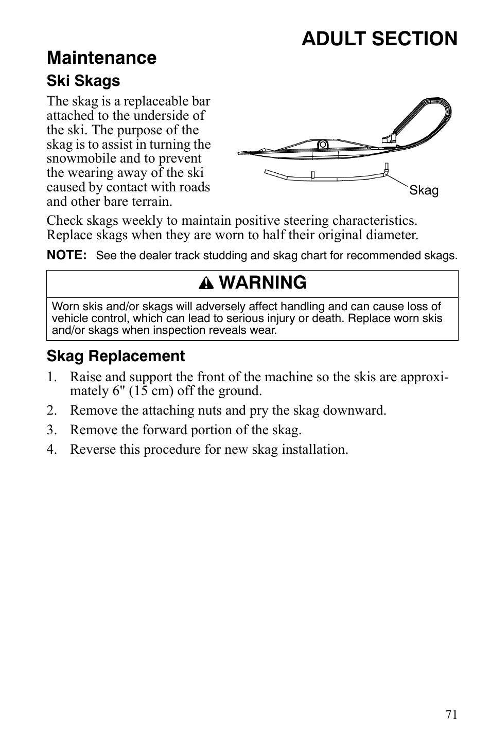 Maintenance, Warning | Polaris 120 Dragon User Manual | Page 75 / 101