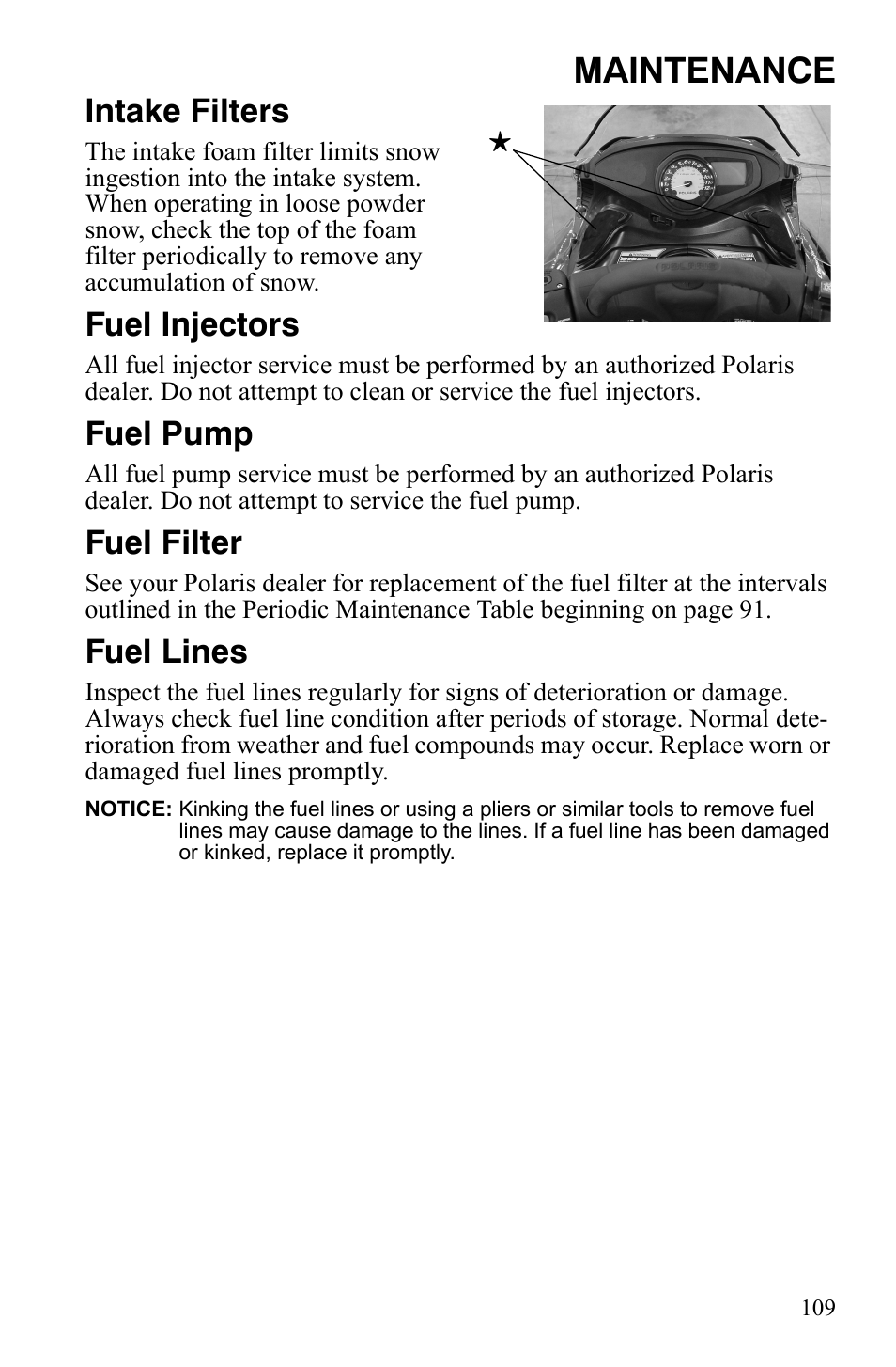 Maintenance, Intake filters, Fuel injectors | Fuel pump, Fuel filter, Fuel lines | Polaris FS IQ Touring User Manual | Page 112 / 165