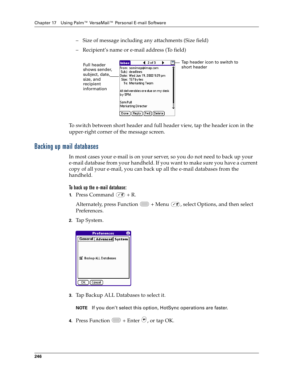 Backing up mail databases | Palm Tungsten W User Manual | Page 260 / 428