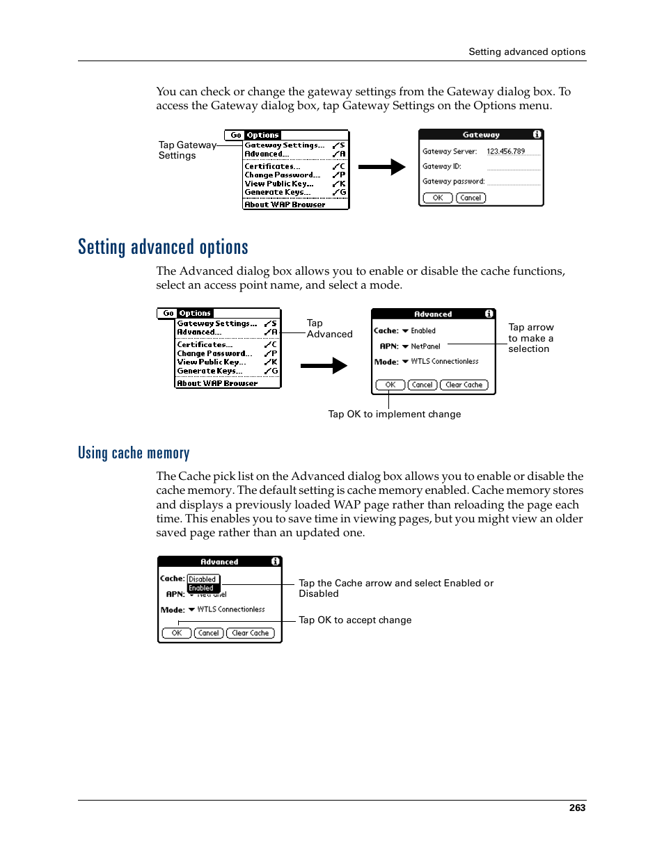 Setting advanced options, Using cache memory | Palm Tungsten W User Manual | Page 277 / 428