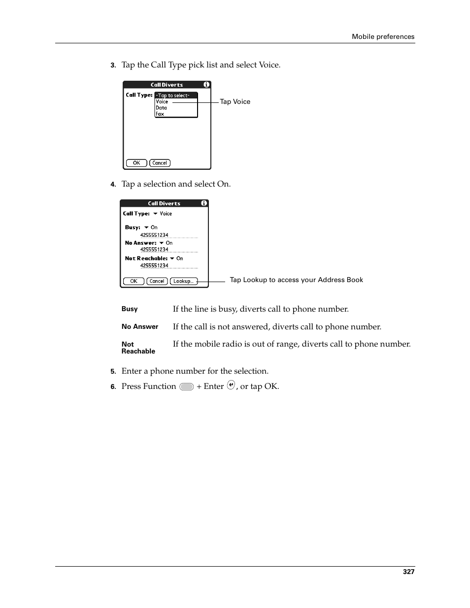 Palm Tungsten W User Manual | Page 341 / 428