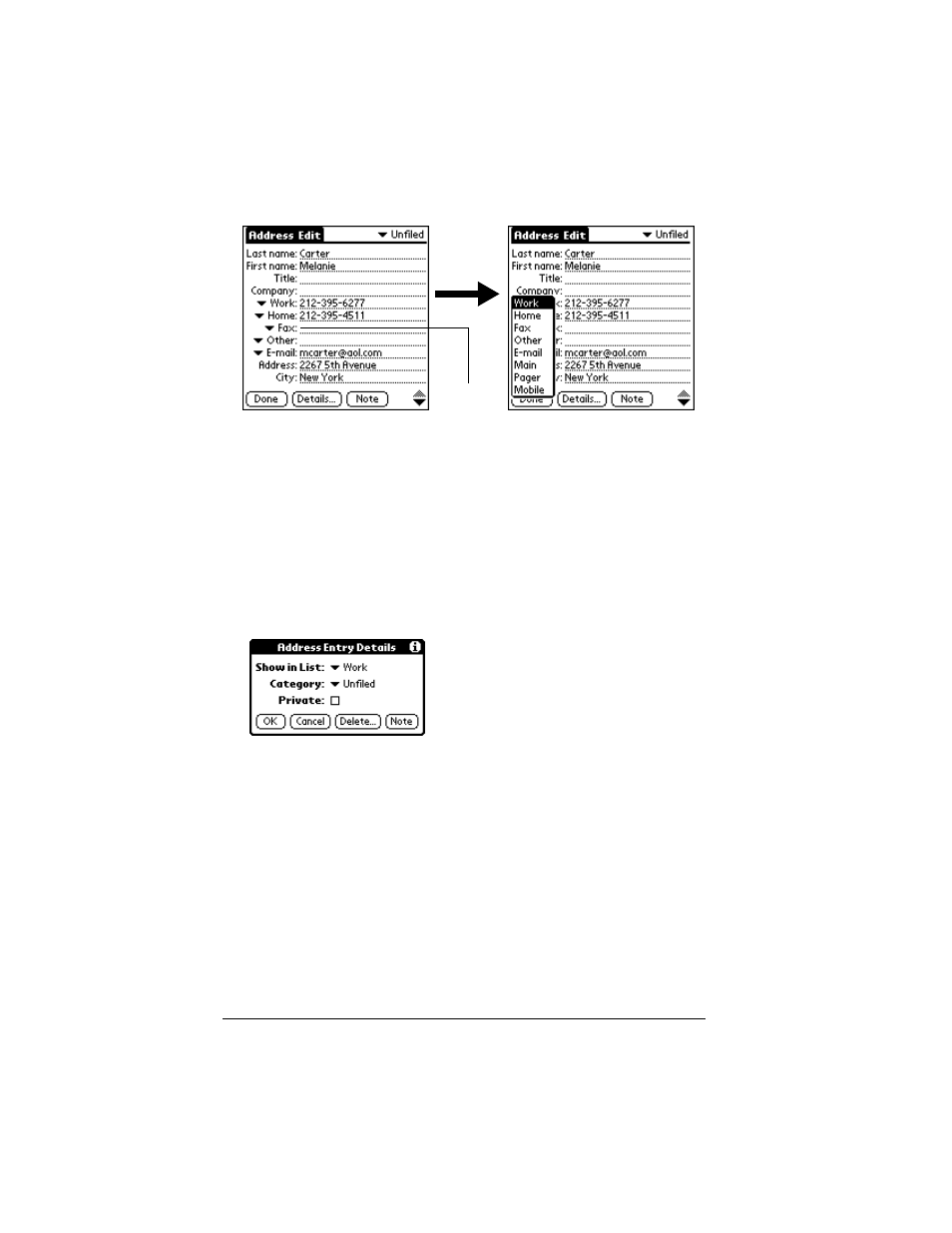 Changing address entry details, To open the address entry details dialog box, Address book menus | Palm VII User Manual | Page 106 / 302