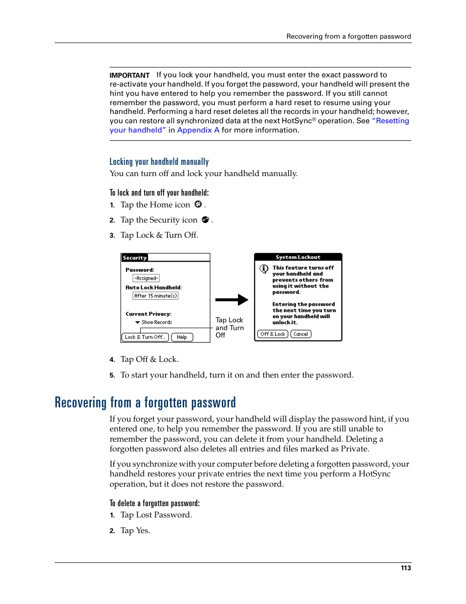 Locking your handheld manually, To lock and turn off your handheld, Recovering from a forgotten password | To delete a forgotten password | Palm TM ZIRETM HANDHELD User Manual | Page 123 / 208