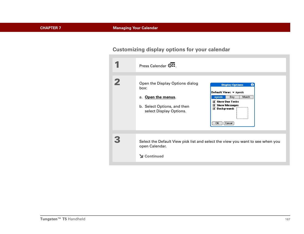 Customizing display options for your calendar | Palm T5 User Manual | Page 189 / 675
