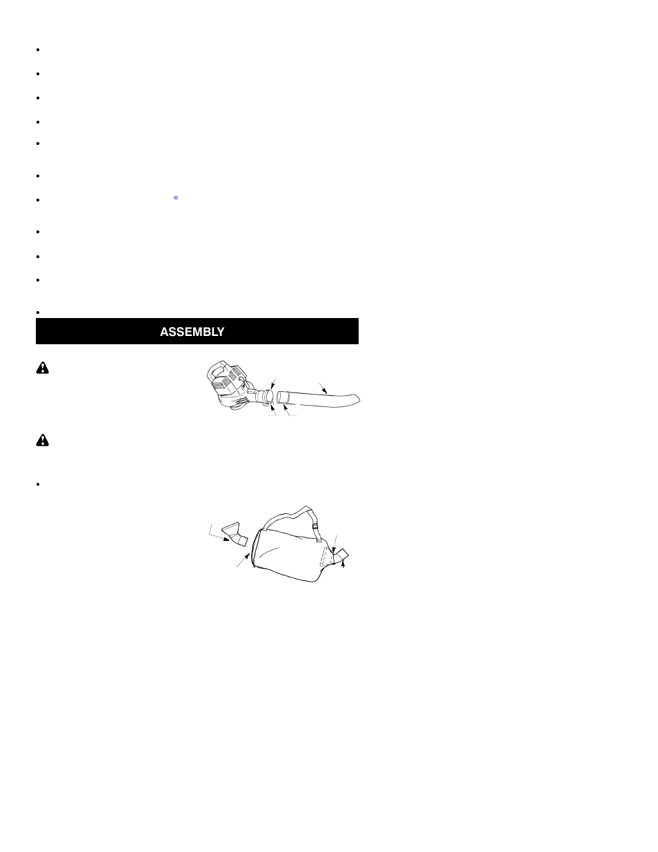 Assembly | Poulan BVM200 LE User Manual | Page 3 / 12