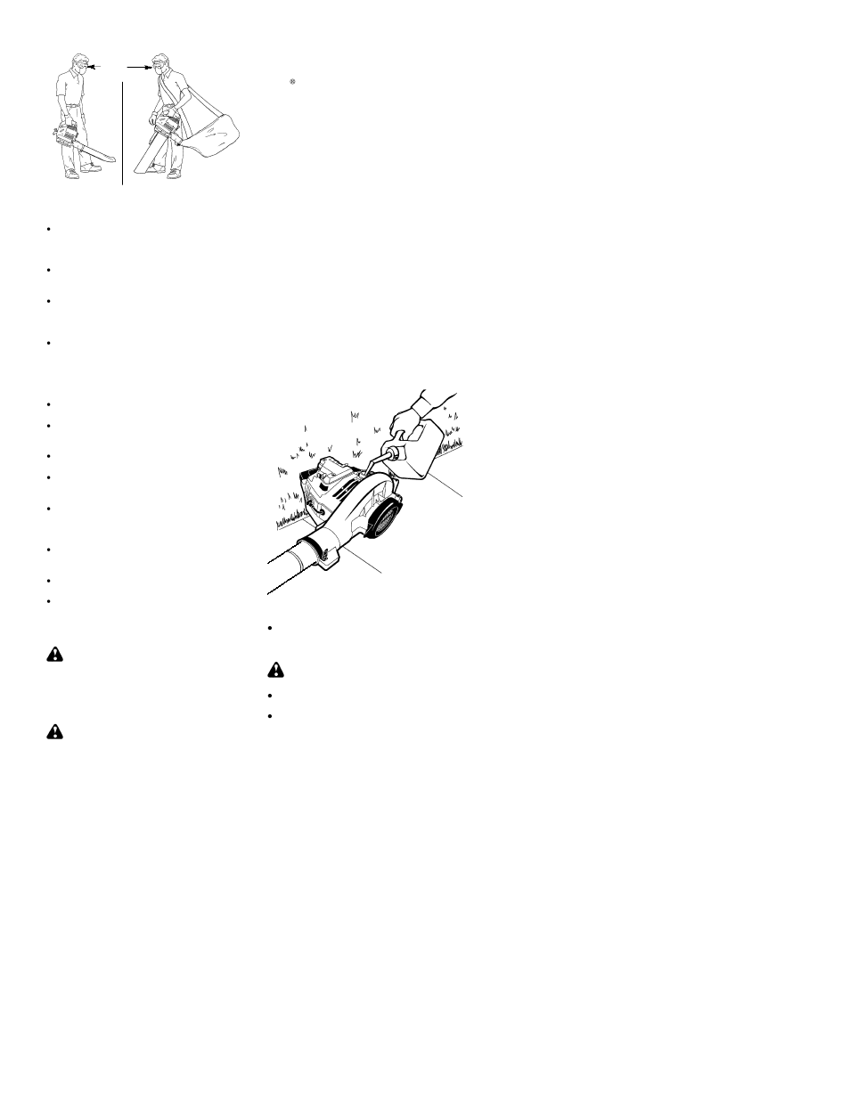 Poulan BVM200 LE User Manual | Page 6 / 12