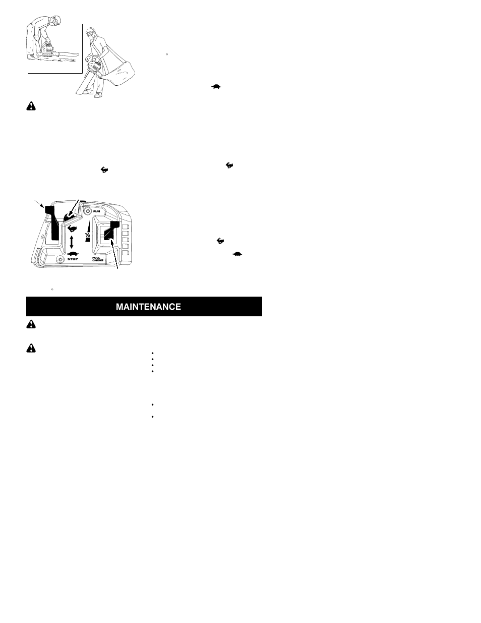 Maintenance | Poulan BVM200 LE User Manual | Page 7 / 12