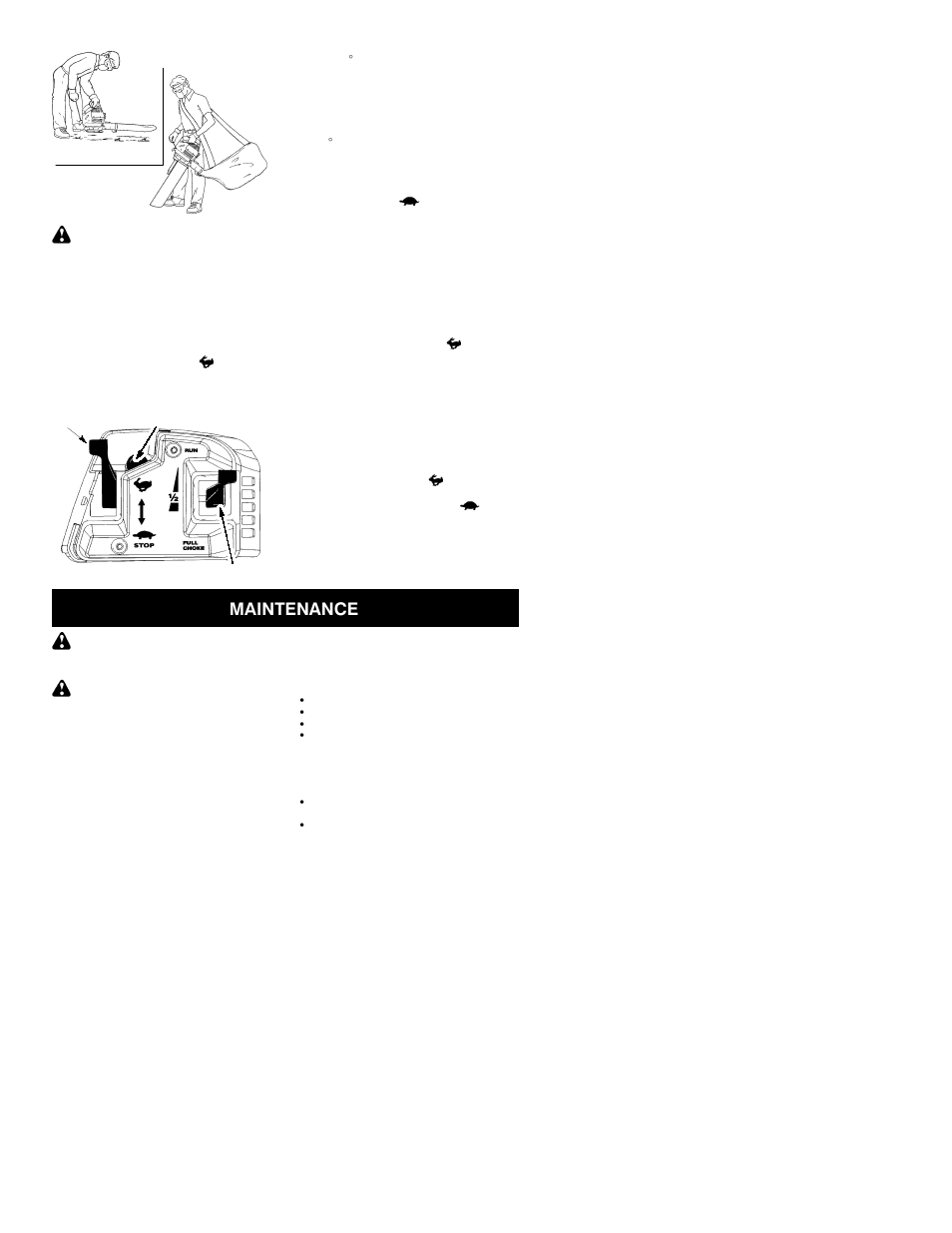 Maintenance | Poulan 530164583 User Manual | Page 7 / 11