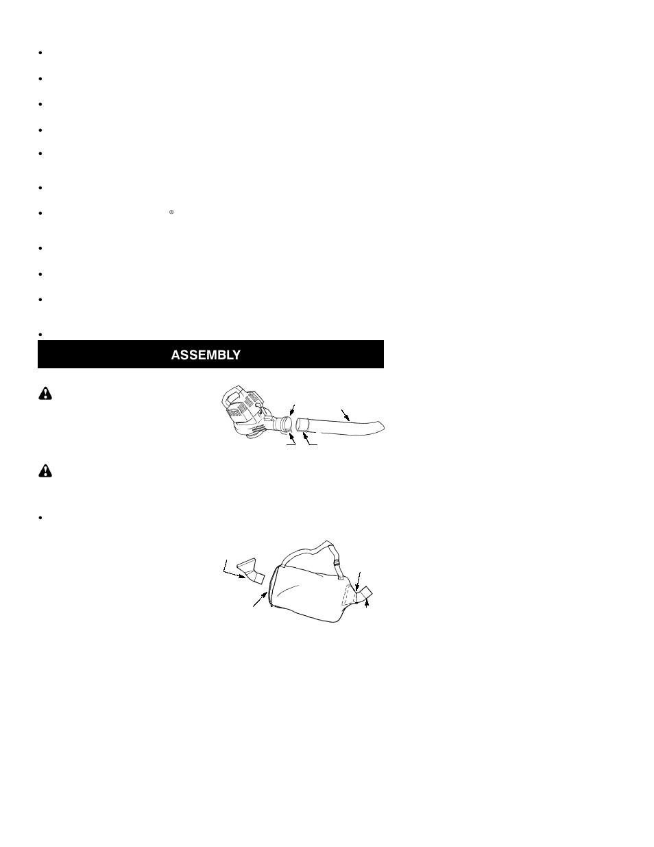 Assembly | Poulan 530163809 User Manual | Page 3 / 12