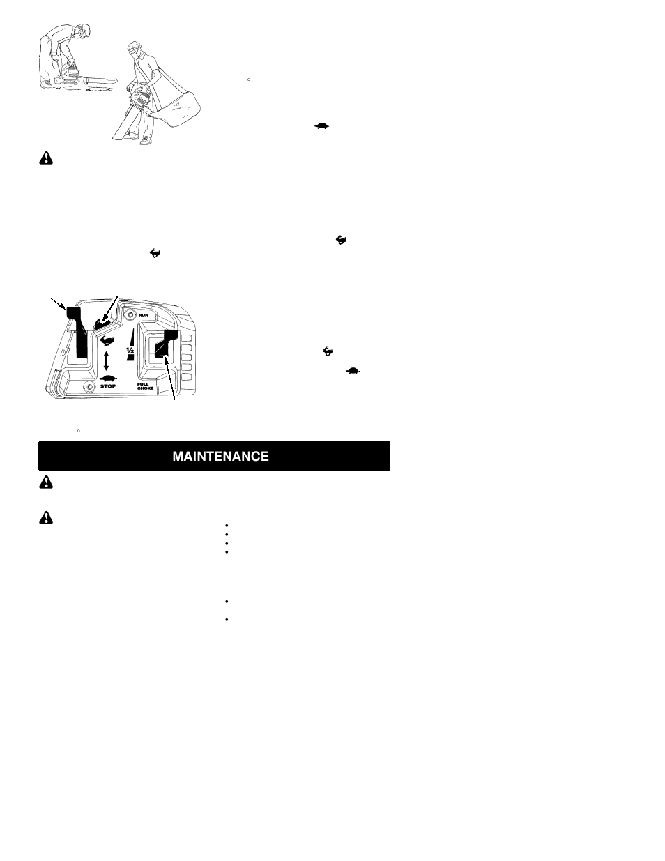 Maintenance | Poulan 530163809 User Manual | Page 7 / 12