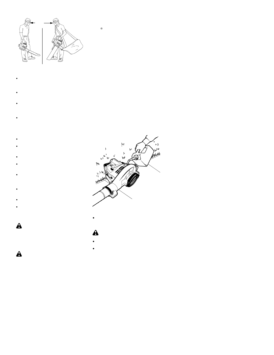 Poulan 530163805 User Manual | Page 6 / 11
