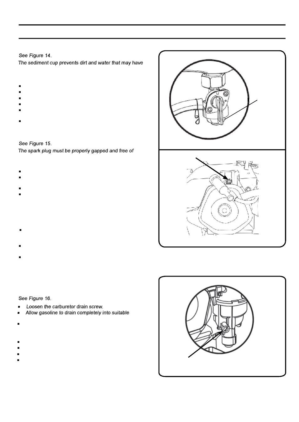 Maintenance | Poulan Pro PP4300 User Manual | Page 19 / 28