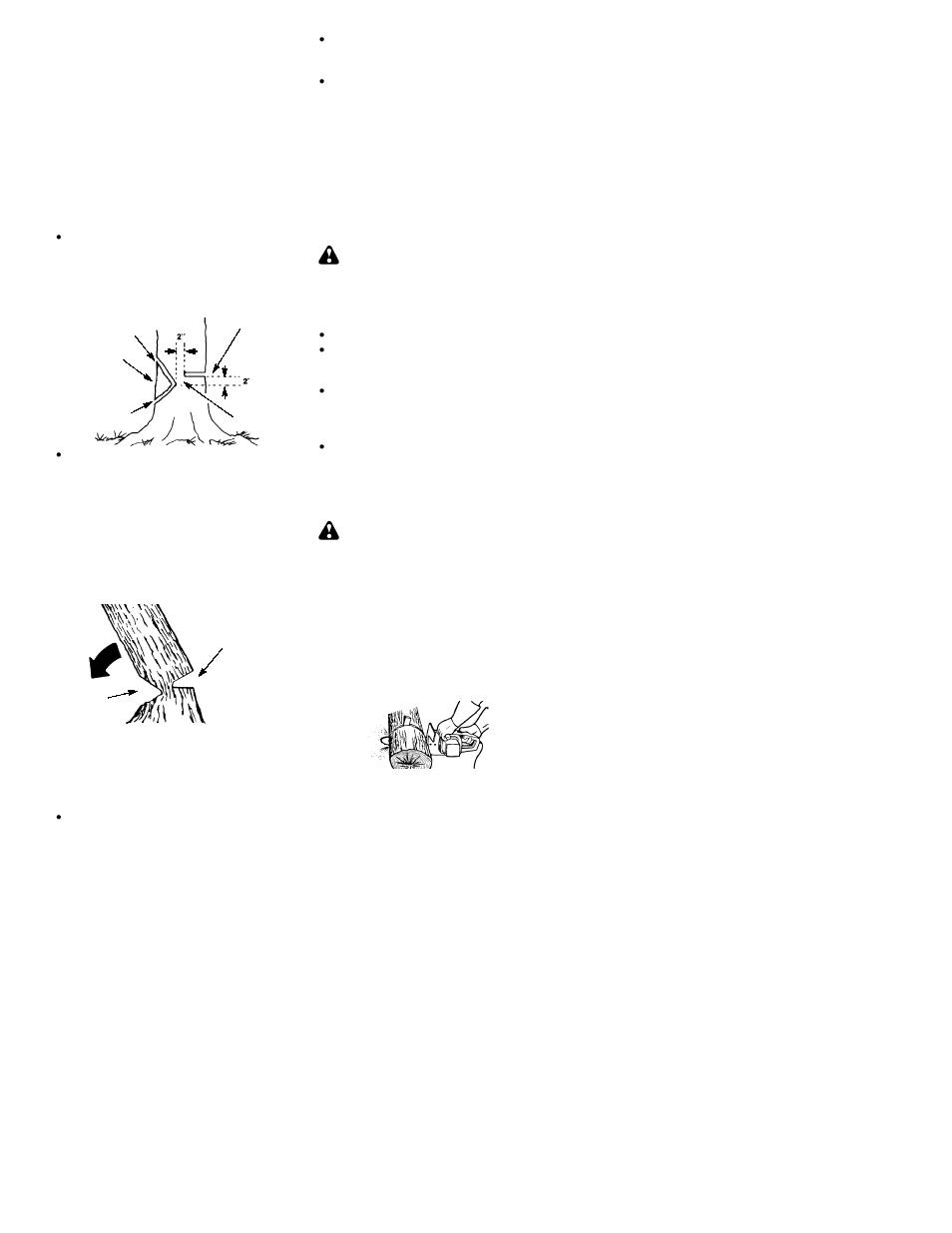 Poulan PP300E User Manual | Page 11 / 18