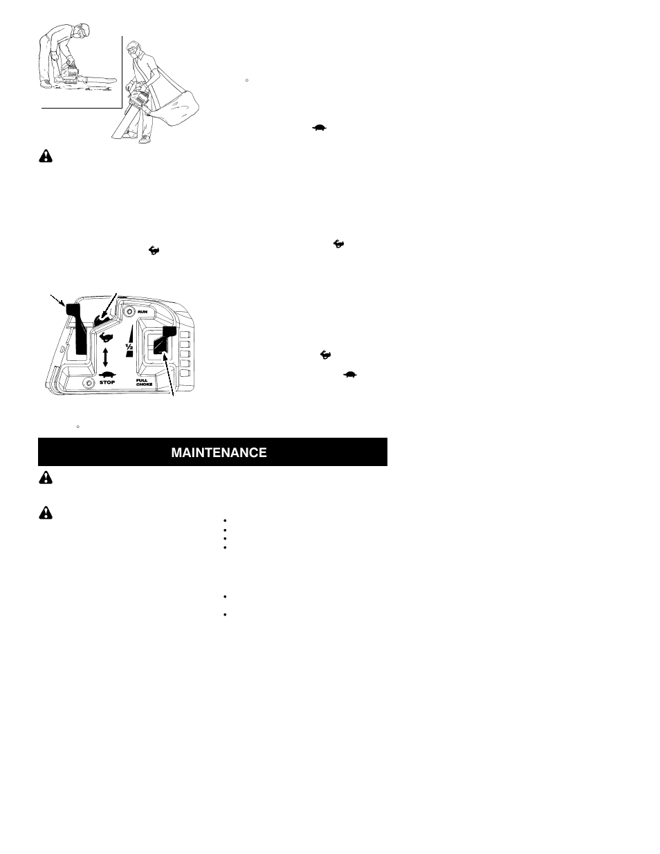 Maintenance | Poulan 530164283 User Manual | Page 7 / 12