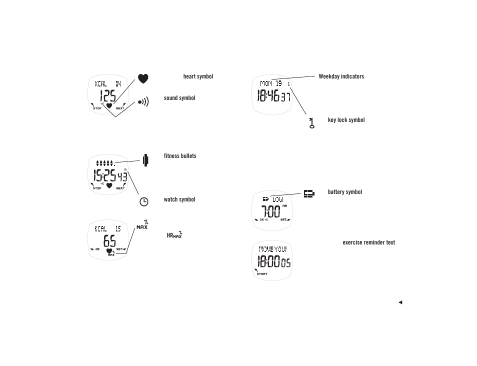 POLAR F4TM User Manual | Page 7 / 26